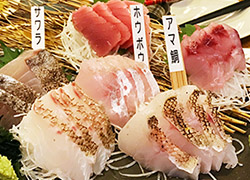 第四三回 1